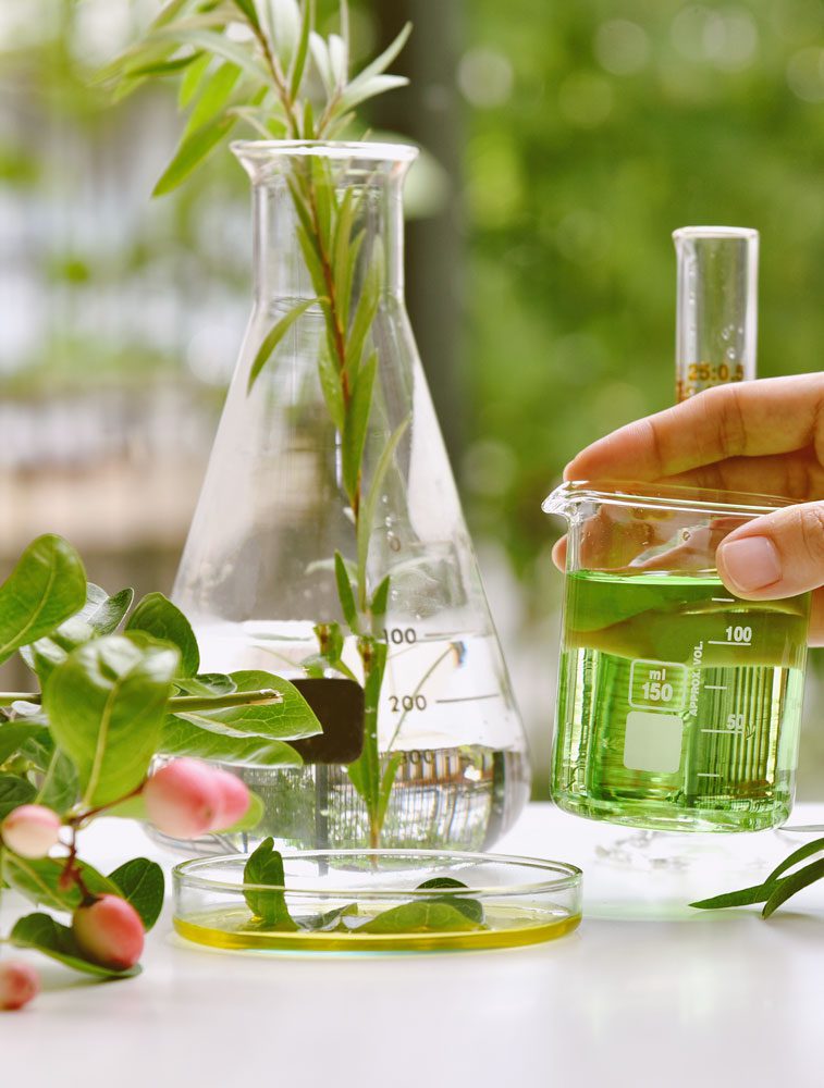 Laboratoire de recherche, élaboration des produits Emma Noël bio