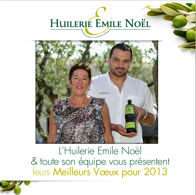 actu voeux 2013
