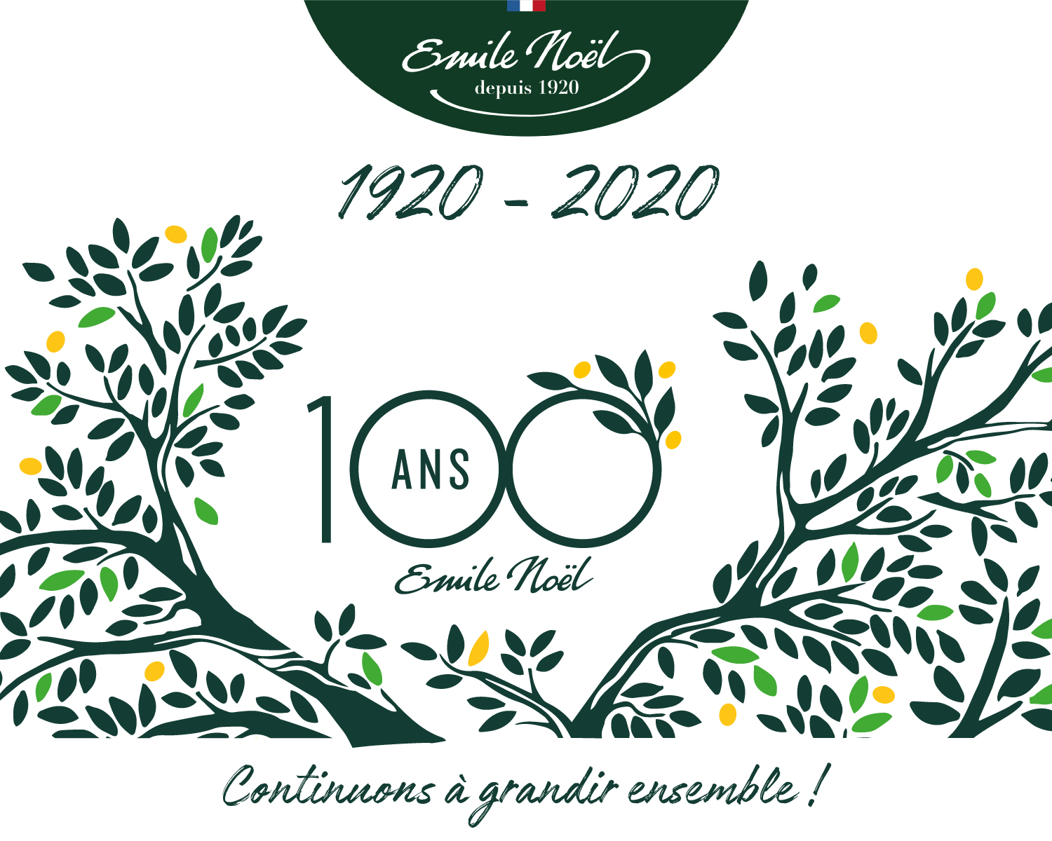 Actualité 100 ans Emile Noël