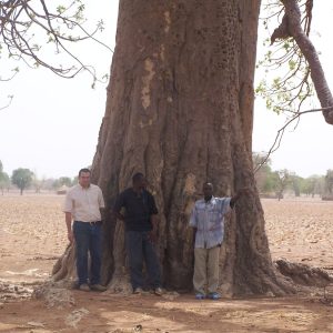 David filière baobab au Mali