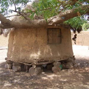 Village filière Mali